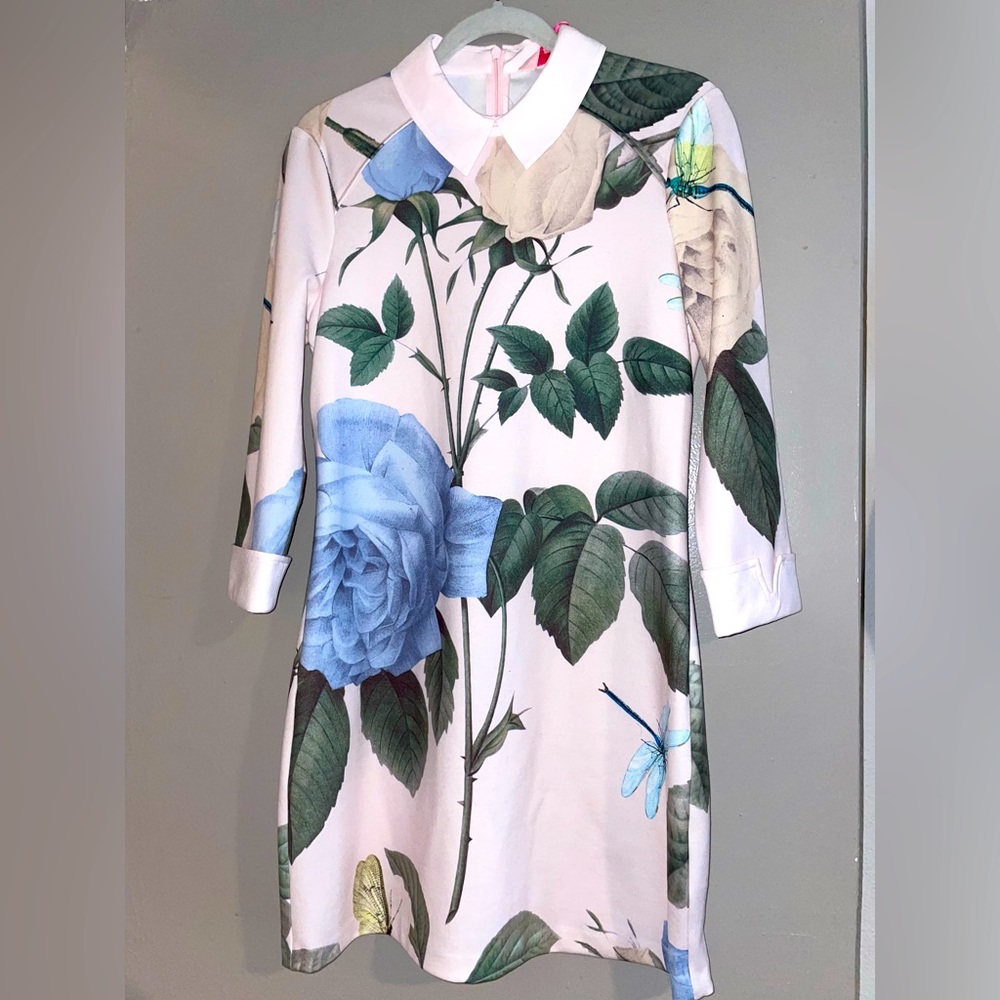 Ted baker size 2 (US size 4 or size 6) pink dress